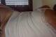 Foto privada de laborghese