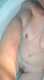 Private Photo of porcella-