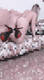 Private Photo of Passion_girl